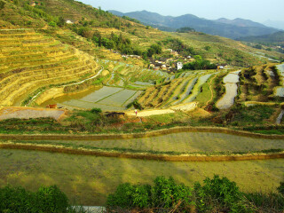 坪山梯田