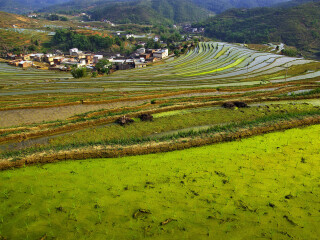 坪山梯田