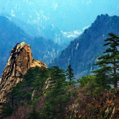 景点模块 