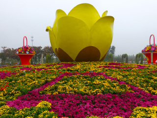 鄢陵国家花木博览园