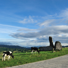 南山牧场