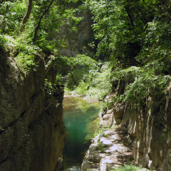 蟒河