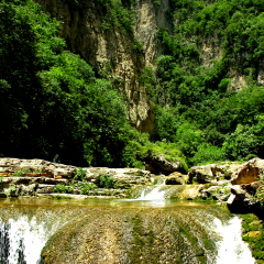 蟒河