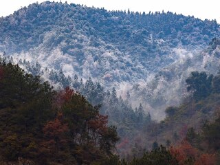 仰天岗森林公园