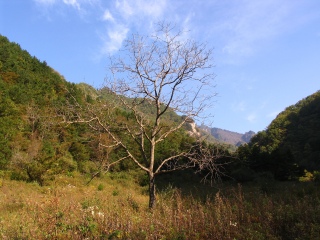 牛背梁国家森林公园