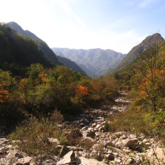 牛背梁国家森林公园