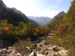 牛背梁国家森林公园