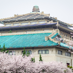 樱花季的武汉大学行政大楼