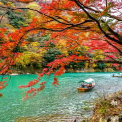 Boatman punting the boat at river. Arashiyama in autumn season along the river in Kyoto, Japan.