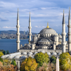 Aerial shot of Blue Mosque (Sultan Ahmed Mosque) surrounded by trees in Istanbul's Old City - Sultanahmet, Istanbul, Turkey [Autumn/ Fall Colors]