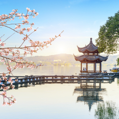 a blooming tree，Beautiful architectural landscape and landscape in West Lake, hangzhou