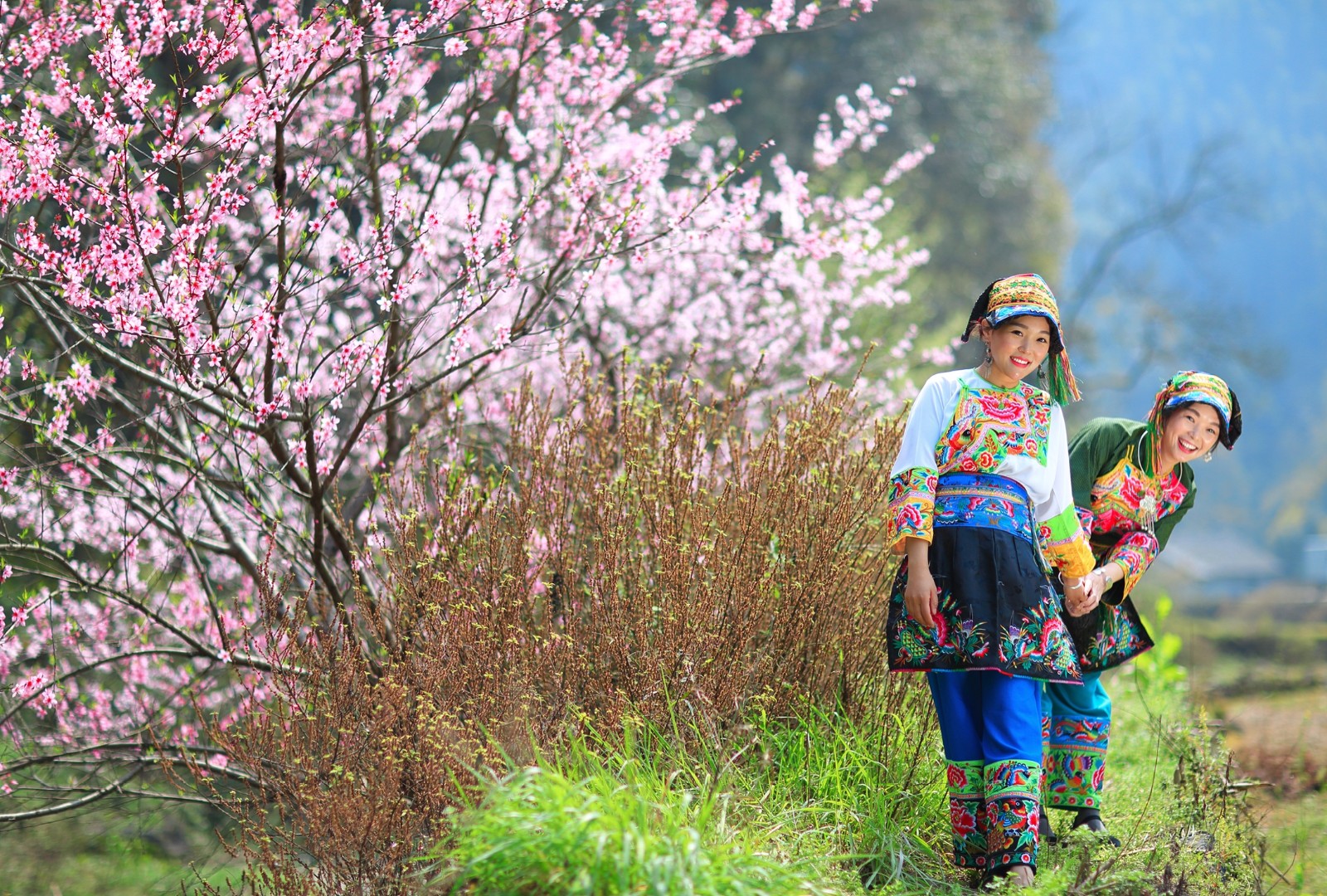花虫"桃花蛊,湘西三月三,有一场和巫蛊有关的苗族情人节