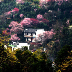 歙县