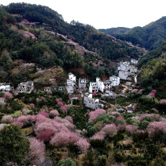歙县