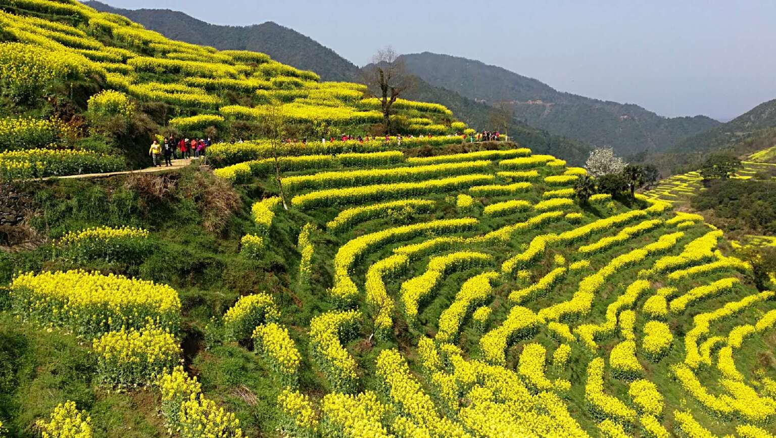 赣鄱大地风光美