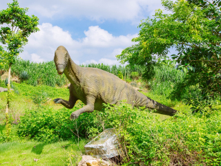 龙谷湾恐龙公园