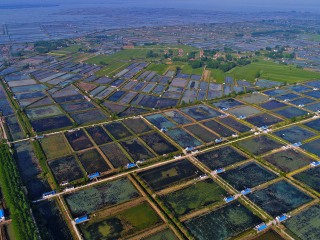洪泽湖湿地公园