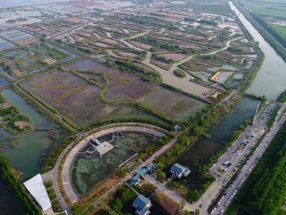 洪泽湖湿地公园