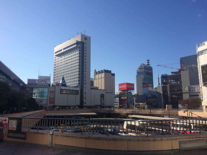 四天三晚去仙台吃牛舌,松岛赏红叶,顺便刷三年签