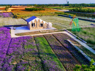 三台山森林公园