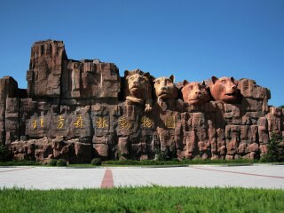 北方森林动物园