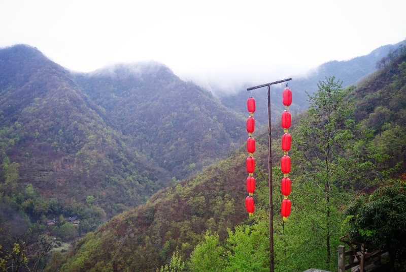平武豆叩禅茶小镇品禅茶尽享人间慢生活