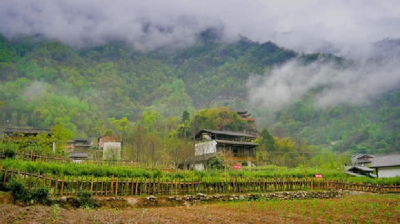 平武豆叩禅茶小镇品禅茶尽享人间慢生活