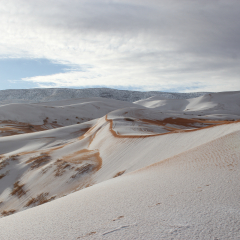 snow on desert of algeria january 2018; beautiful and amazing nature