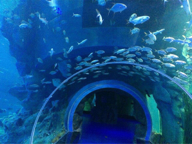 青岛崂山威海烟台5日游10至20人纯玩丨出海海钓丨指定五星临海酒店