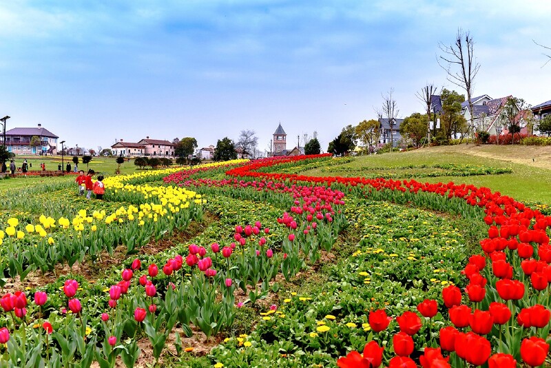如果春天只能有一次旅行我选武汉花博汇