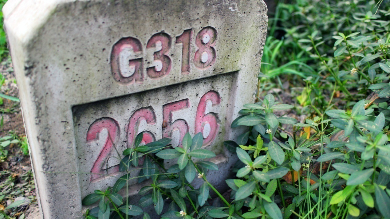 里程碑是2656,318半程已过,更确切地说,从雅安开始,才真正