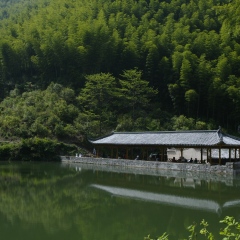 黄山大竹海