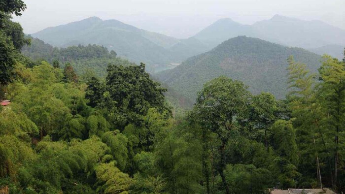莫干山风景名胜区位于浙江省湖州市德清县,属天目山余脉,主峰塔山海拔