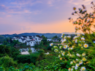 黄龙岘茶文化村