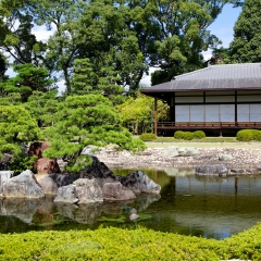 二条城中的日式庭院