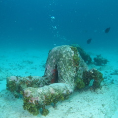 Statue underwater
