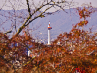 京都塔