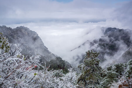 <江西庐山-婺源-三清山-景德镇双高5日游>上海高铁往返，专车专导0购物，精选四星酒店，一晚宿庐山山顶，网红篁岭天街小镇，24H接送站