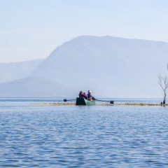 云南大理洱海海舌公园