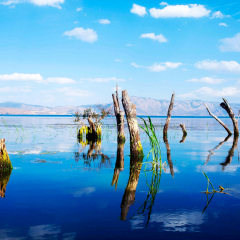 大理洱海海舌公园