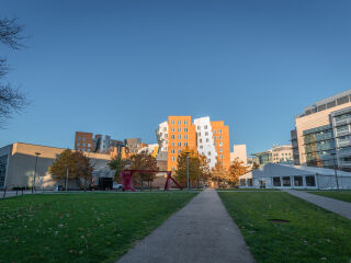 麻省理工大学
