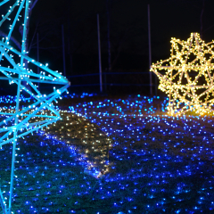 Illumination Blur in Kanagawa