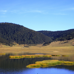 Shudu lake in Autumn. Pudacuo National Park in Yunnan Province, China.