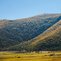 Shangri La Yila Grassland