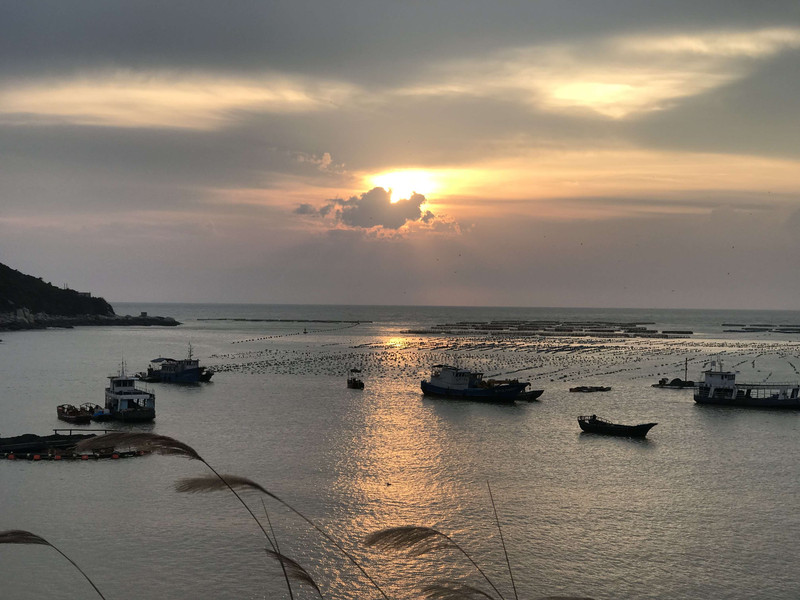 南麂島,獨特的海邊記憶_平陽西灣景區遊記_途牛