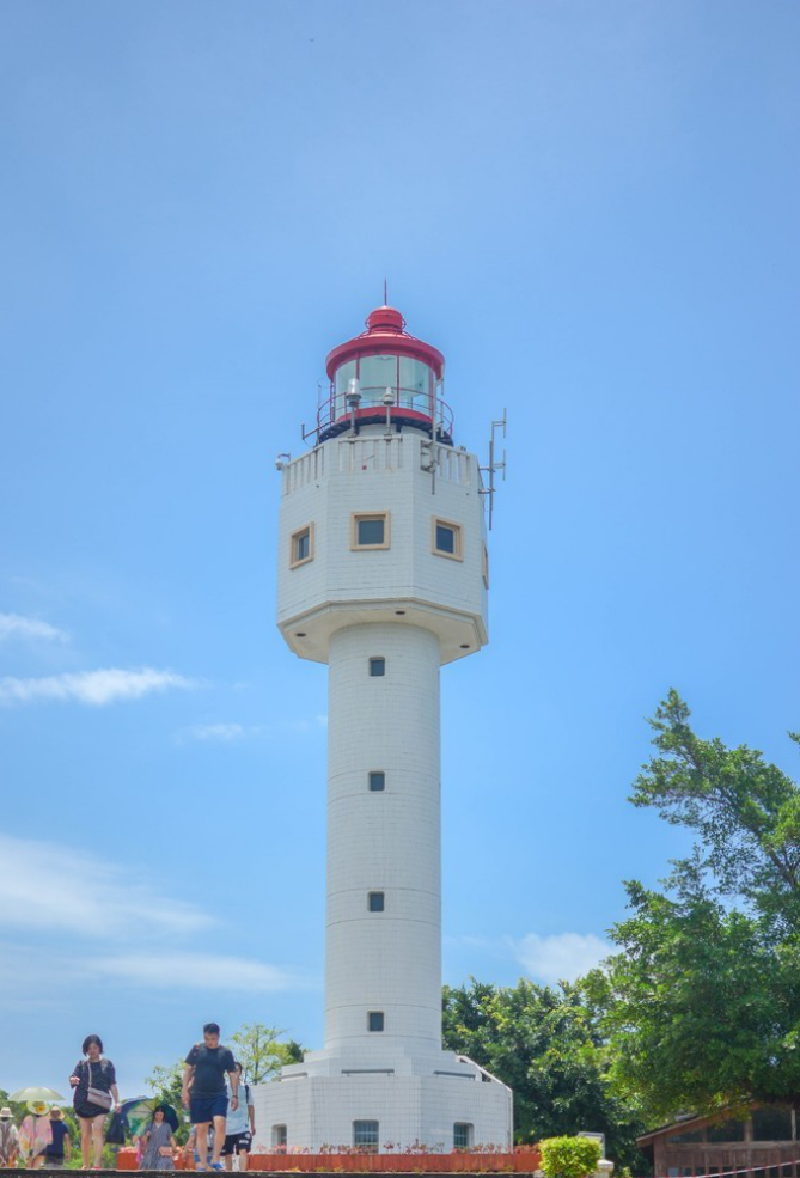 北海寻找鲸鱼之旅