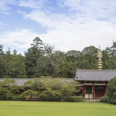 东大寺,奈良,近畿,日本,亚洲,