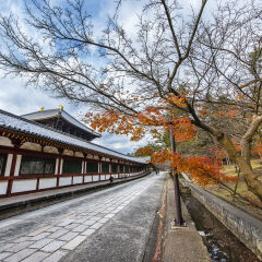 日本东大寺秋景