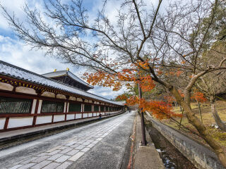 东大寺