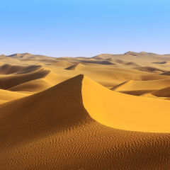 内蒙古库布奇沙漠